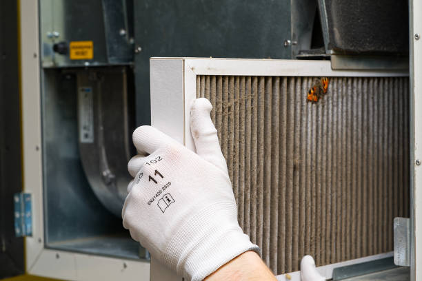 Best Air Vent Cleaning Services  in Lafayette, IN